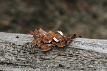 A pair of gold rings on a wooden background. Rustic wedding rings with a matte surface. Jewelry for nature lovers