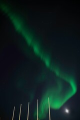Wall Mural - low-angle vertical shot of the northern lights on a starry night sky
