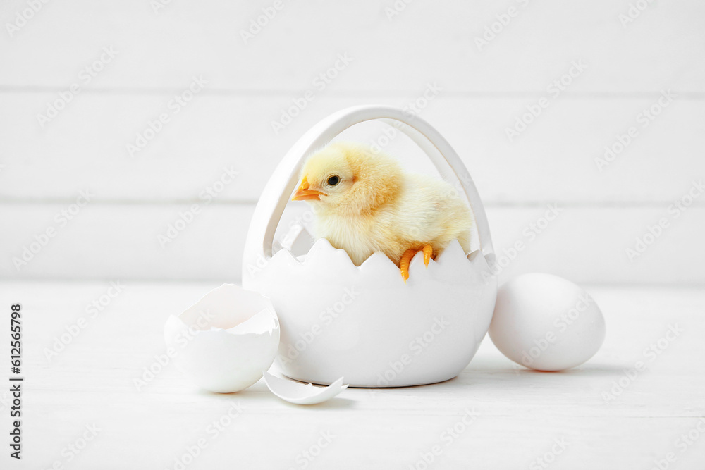Basket with cute little chick and egg on white table