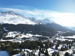 Wall Mural - Scenic shot of forest, snow fields, and mountains during winter