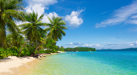 Wall Mural - beautiful landscape of a paradise beach in high definition in hawaii