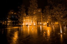 Outdoors View Of A Park With Trees And Buildings Illuminated With Lights At Night In Liverpool