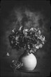 Vertical grayscale shot of wilting flowers in a vase surrounded by steam