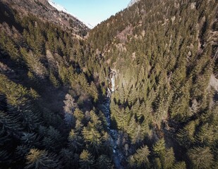 Wall Mural - Drone shot of lush spruce forest on slopes of hills and a river flowing between them