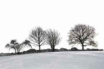 Grayscale of naked trees in the snowy field with stacks of stones and white sky in the background