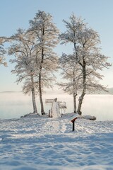 Sticker - Beautiful winter landscape with snow-covered trees and a wooden pier against a clear sky