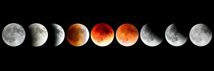 Wall Mural - phases of the moon during a solar eclipse