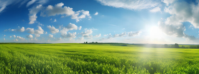 Beautiful panoramic natural landscape of a green field with grass against a blue sky with sun. Bright sunny day over green grass field and blue sky. Generative AI.