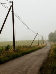 Poster - Scenic dirt road meandering through lush grass and tall telephone poles shrouded in a peaceful fog