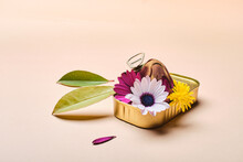 Tin Can With Flowers And Leaves