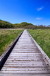 © Masa Tsuchiya - 快晴の野原を真っすぐに通る木道。