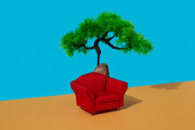 Comfortable Red Armchair And Plastic Tree 