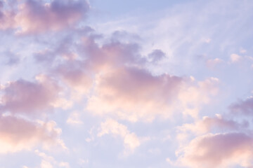 Wall Mural - Blue sky background with pale pink clouds at sunset