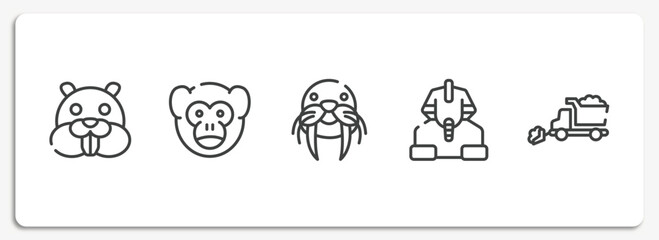 Wall Mural - winter nature outline icons set. thin line icons sheet included beaver, monkey, walrus, sphinx, snowplow vector.