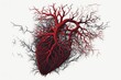 Blood vessels in shape of heart. Circulatory system. Veins and arteries. Generative AI.