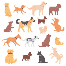 Set Of Dogs Of Different Breeds Flat Vector Illustration Isolated On White.