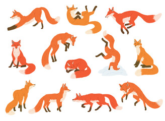 set of red and orange foxes in different poses flat style, vector illustration