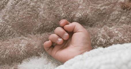 Wall Mural - A right hand of sleeping asian baby on the carpet handheld