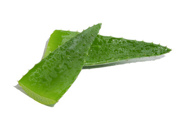 Two Leaf of green fresh aloe vera. On a white background.