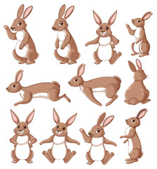 Wall Mural - cute rabbit cartoon character collection