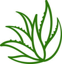 Aloe Vera Leaf Graphic Line