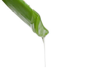 Leaf of green fresh aloe vera with dripping clear gel. On a blank background. PNG