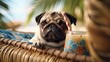 A close-up photograph of a pug lying on a beach mat, wearing a Hawaiian shirt, and lazily sipping a refreshing coconut drink - Generative ai