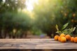 © Thares2020 - Natural Wooden Tabletop with Summer orange Garden Bokeh Background and Copy Space for Display