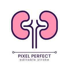 Wall Mural - Kidneys pixel perfect RGB color icon. Urinary system checkup. Organ transplantation. Human body inner part. Isolated vector illustration. Simple filled line drawing. Editable stroke. Poppins font used