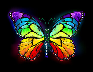 Rainbow luminous butterfly