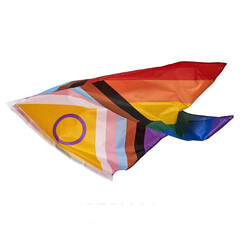 Poster - progress pride flag, transparent background