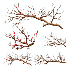 old dry branch vector set isolated on white