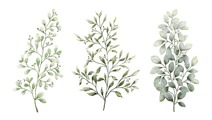Set of watercolor botanical small leaves elements