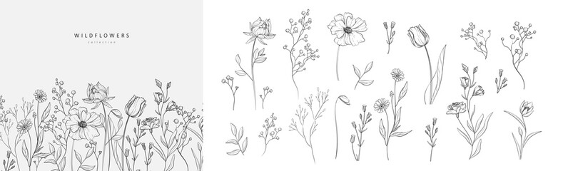 floral branch and minimalist flowers for logo or tattoo. hand drawn line wedding herb, elegant leave