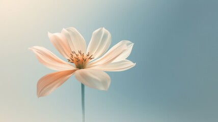 Wall Mural - Beautiful blossom orange and teal flower and fresh spring morning nature on isolated background. Picturesque generative AI