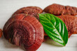 Lingzhi or Reishi mushroom with capsules, organic natural healthy food.