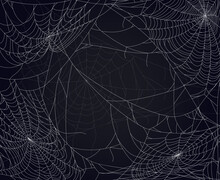 Cobweb Spooky Background. Halloween Scary, Horror Decoration, Sticky Halloween Spider Web Design. Flat Vector Backdrop Illustration