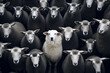 Standing Out: Single White Sheep Among Black Sheeps - Generative AI