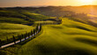 Panorama Toscana einer Zypressen Allee im Sonnenuntergang