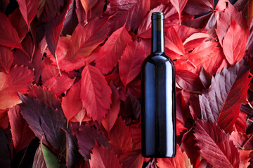 Wall Mural - unevenly lit bottle of wine on red leaves