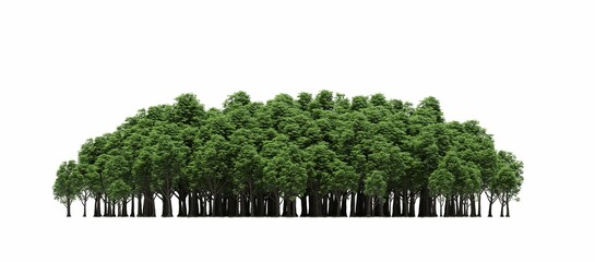 group of trees isolated on a white background, big trees in the forest, 3D illustration, cg render