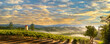 Sunset over panoramic vineyard landscape. Generative AI
