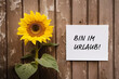 Sonnenblume und Notizzettel auf einem rustikalen Holztisch. Text auf dem Zettel: Bin im Urlaub! - erstellt mit generartiver KI - retuschiert und verbessert