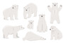 White polar bear stands on paws, lying. Baby White polar bear set. Flat vector illustration
