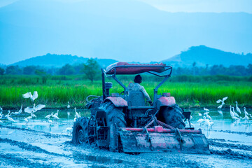 tractor in field