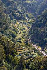 Wall Mural - Madeira Island terraced valley