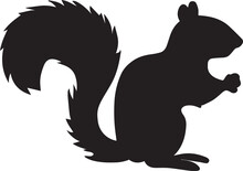 Squirrel Vector Illustration