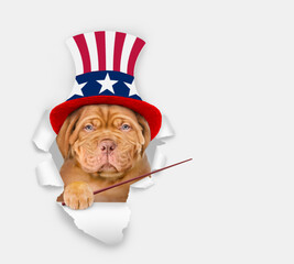 Poster - Serious Mastiff puppy wearing like Uncle Sam looking through a hole in paper and points away on empty space. isolated on white background