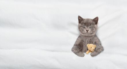 Aufkleber - Cute tiny kitten sleeps with toy bear under warm white blanket on a bed at home. Top down view. Empty space for text