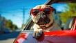 A cool dog wearing sunglasses enjoys a stylish ride in the Red car, embodying the spirit of travel and adventure with undeniable swag. generated ai.